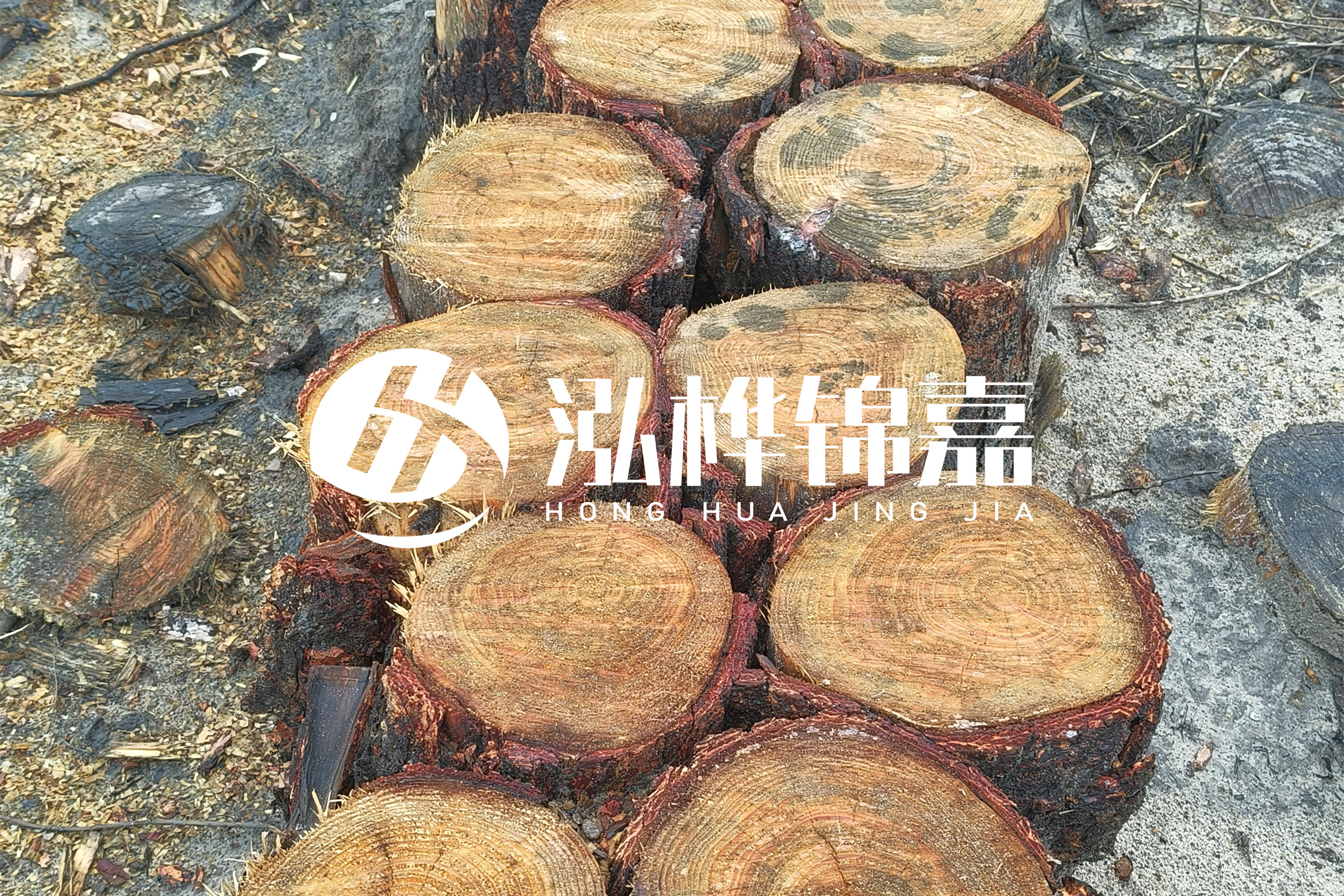 浙江臺(tái)州有清淤的公司嗎？浙江臺(tái)州有清淤施工隊(duì)嗎？