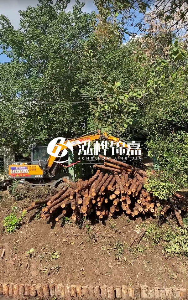 隨州松木樁源頭廠家-杉木樁打樁木的價(jià)格比松木樁貴嗎？