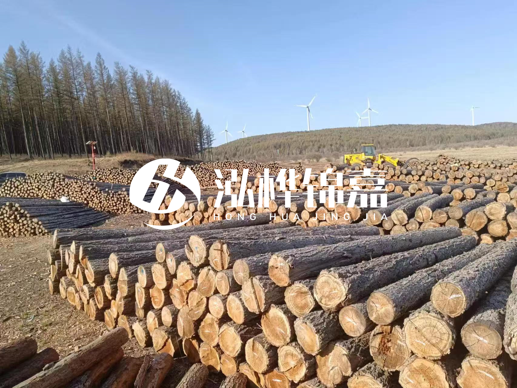 湘潭松木樁源頭廠家-松木樁與水泥樁的性價(jià)比對(duì)比如何？