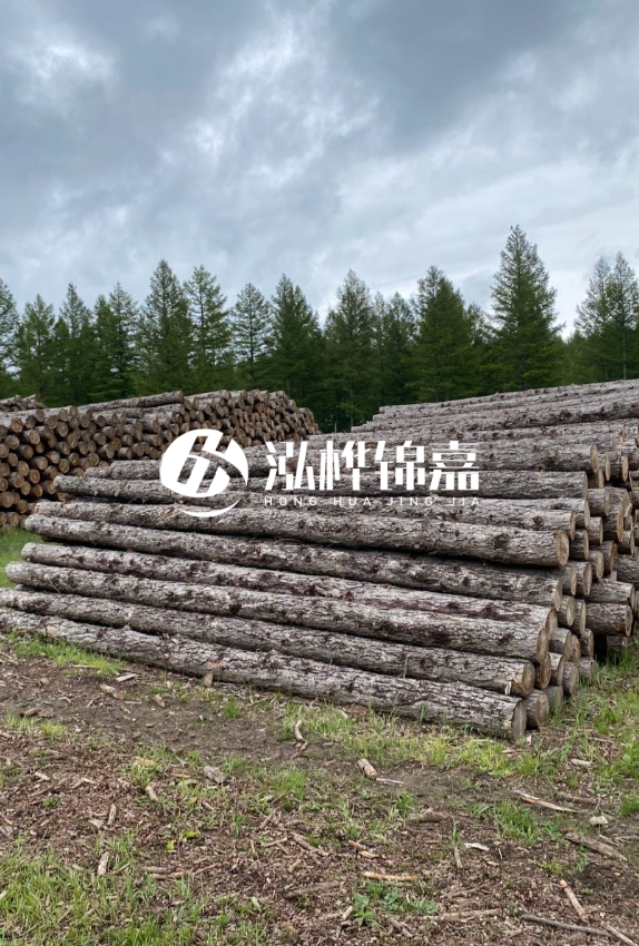 長(zhǎng)沙松木樁源頭廠家-如何甄別松木樁打樁木的質(zhì)量好壞？