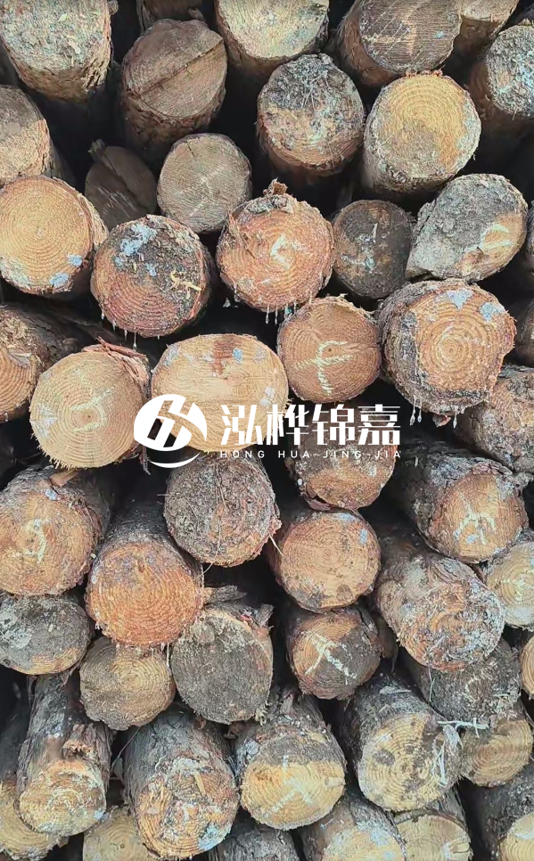 邵陽(yáng)松木樁源頭廠家-松木樁護(hù)岸適合哪些地理環(huán)境？