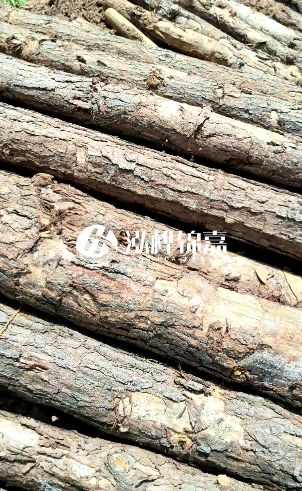 佛山松木樁源頭廠家-松木樁和杉木樁在河道治理中哪個更耐用？