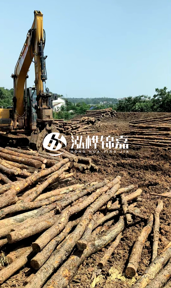 江門松木樁源頭廠家-河道木樁的防腐處理有哪些方法？