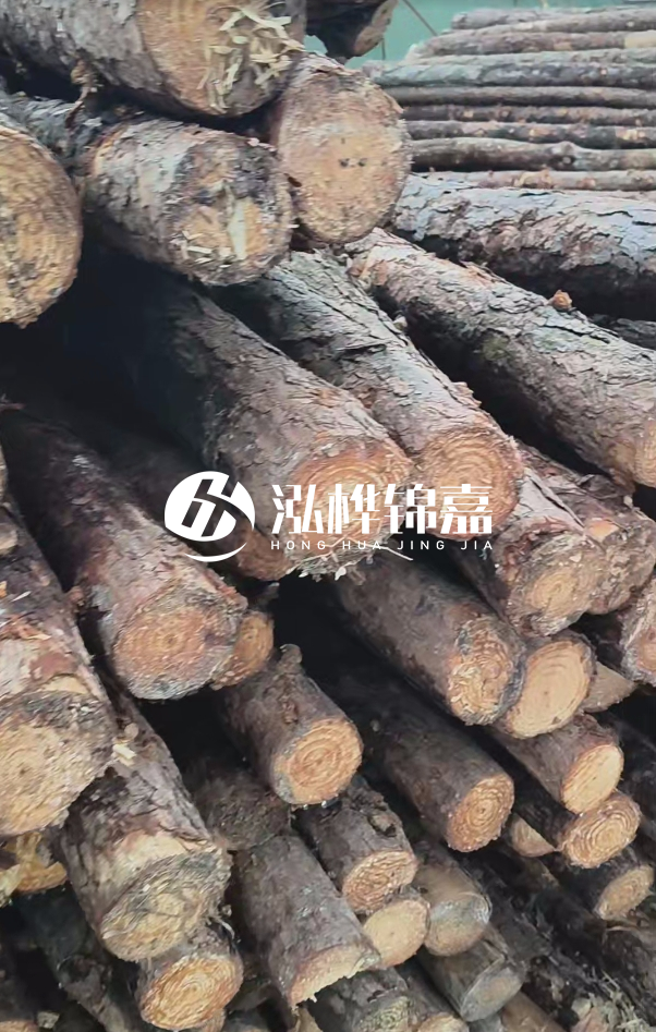 汕尾松木樁源頭廠家-松木樁在水中的耐久性如何？