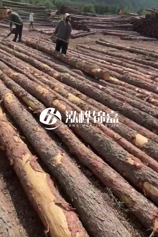 ?？谒赡緲对搭^廠家-松木樁最長可以做多少米？