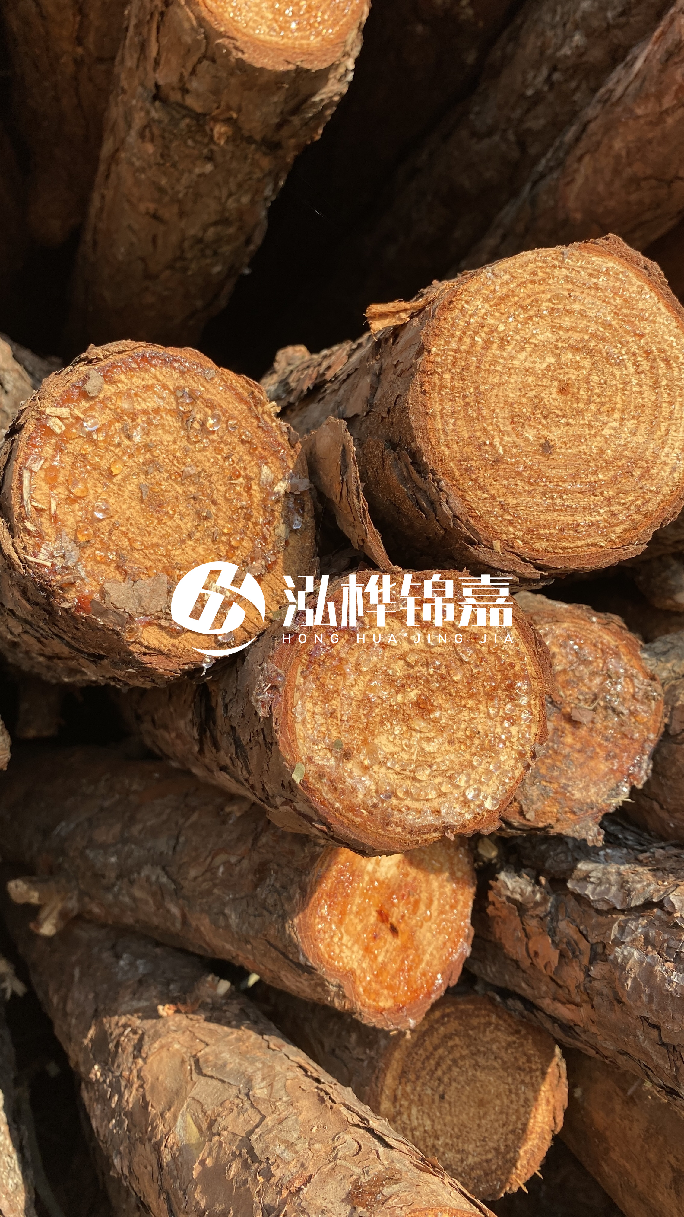 南充松木樁源頭廠家-木樁護(hù)坡優(yōu)缺點(diǎn)有哪些？