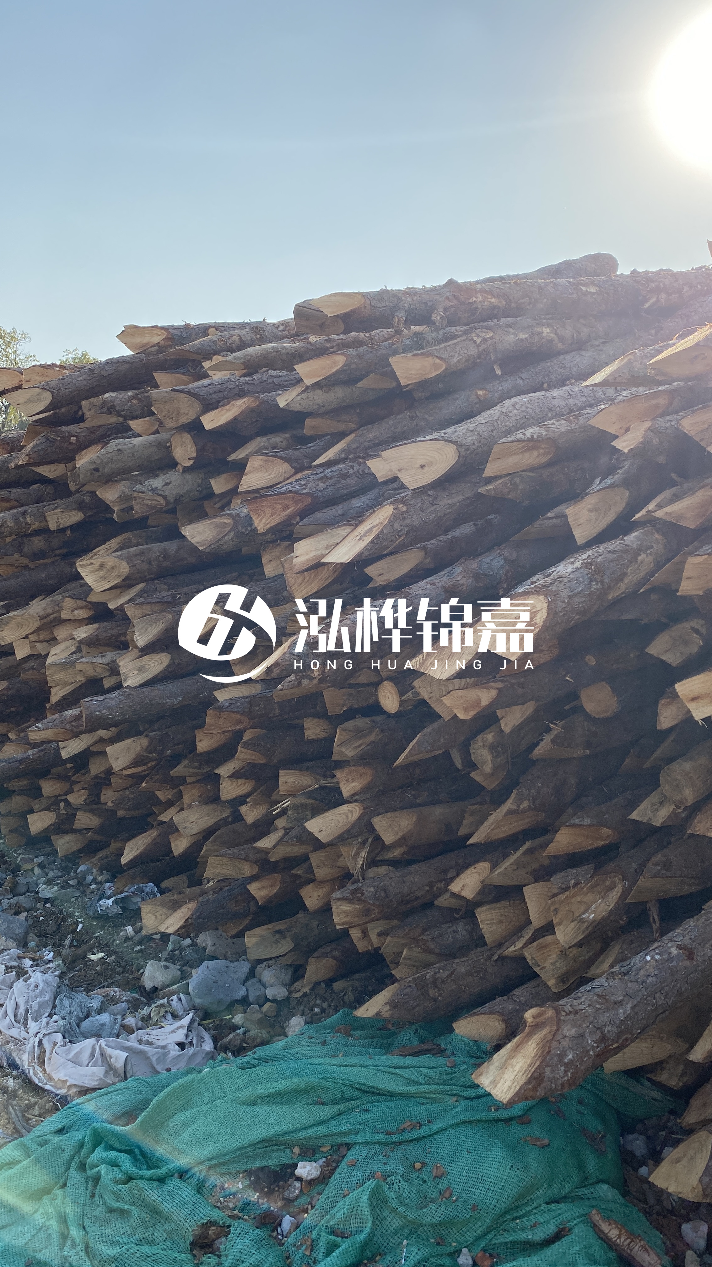 巴中松木樁源頭廠家-原木打樁木是否適合所有地質(zhì)條件？