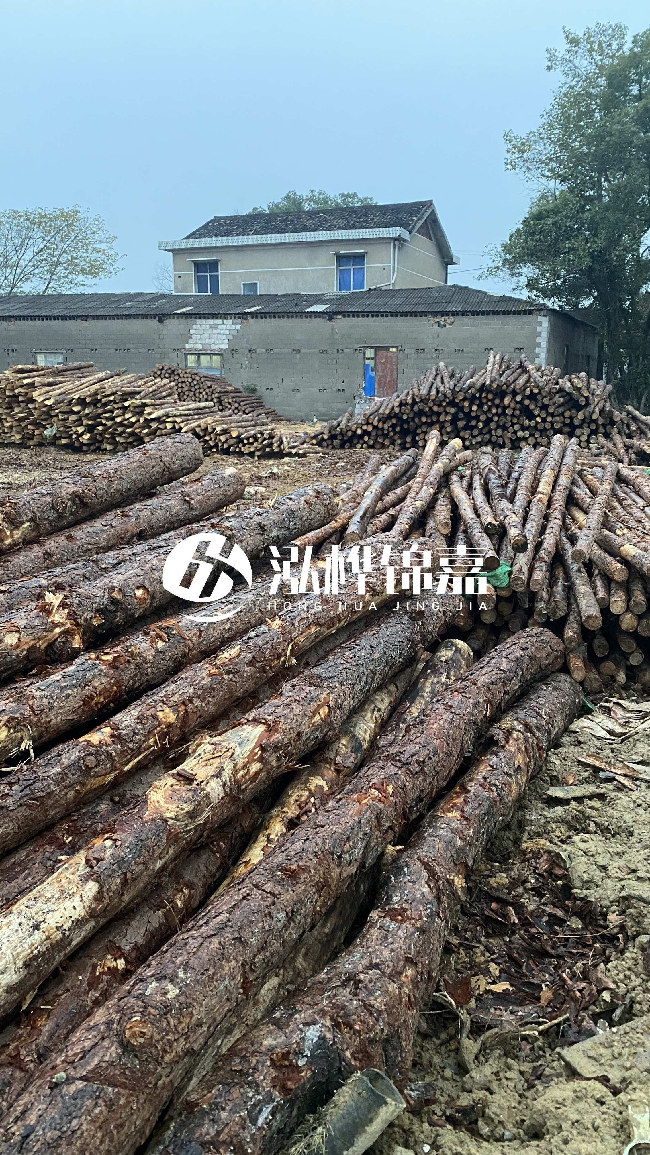 臨滄松木樁源頭廠家-油松打樁木的儲(chǔ)存條件有哪些要求？