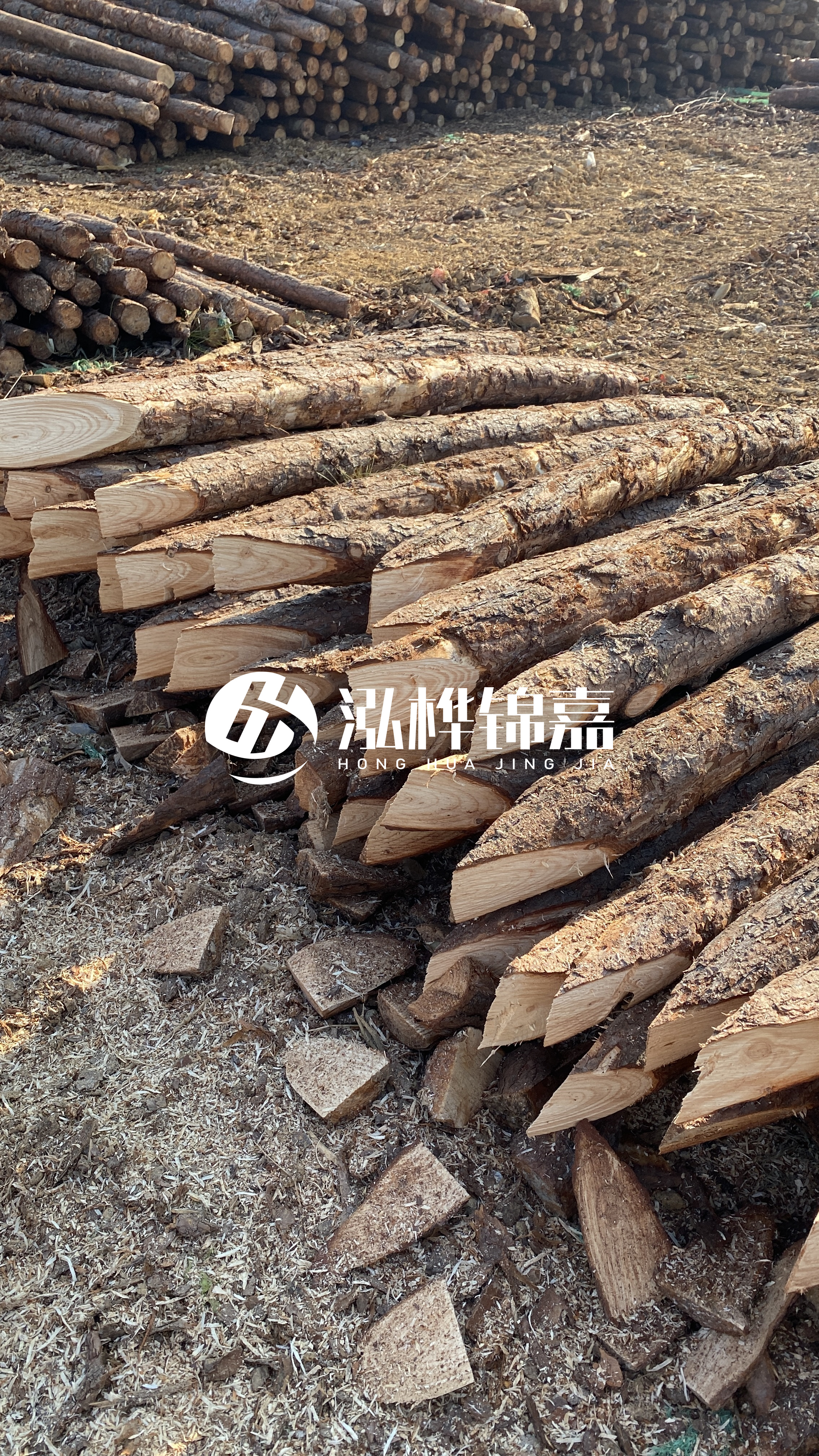 昭通松木樁源頭廠家-打樁木樁有什么用？