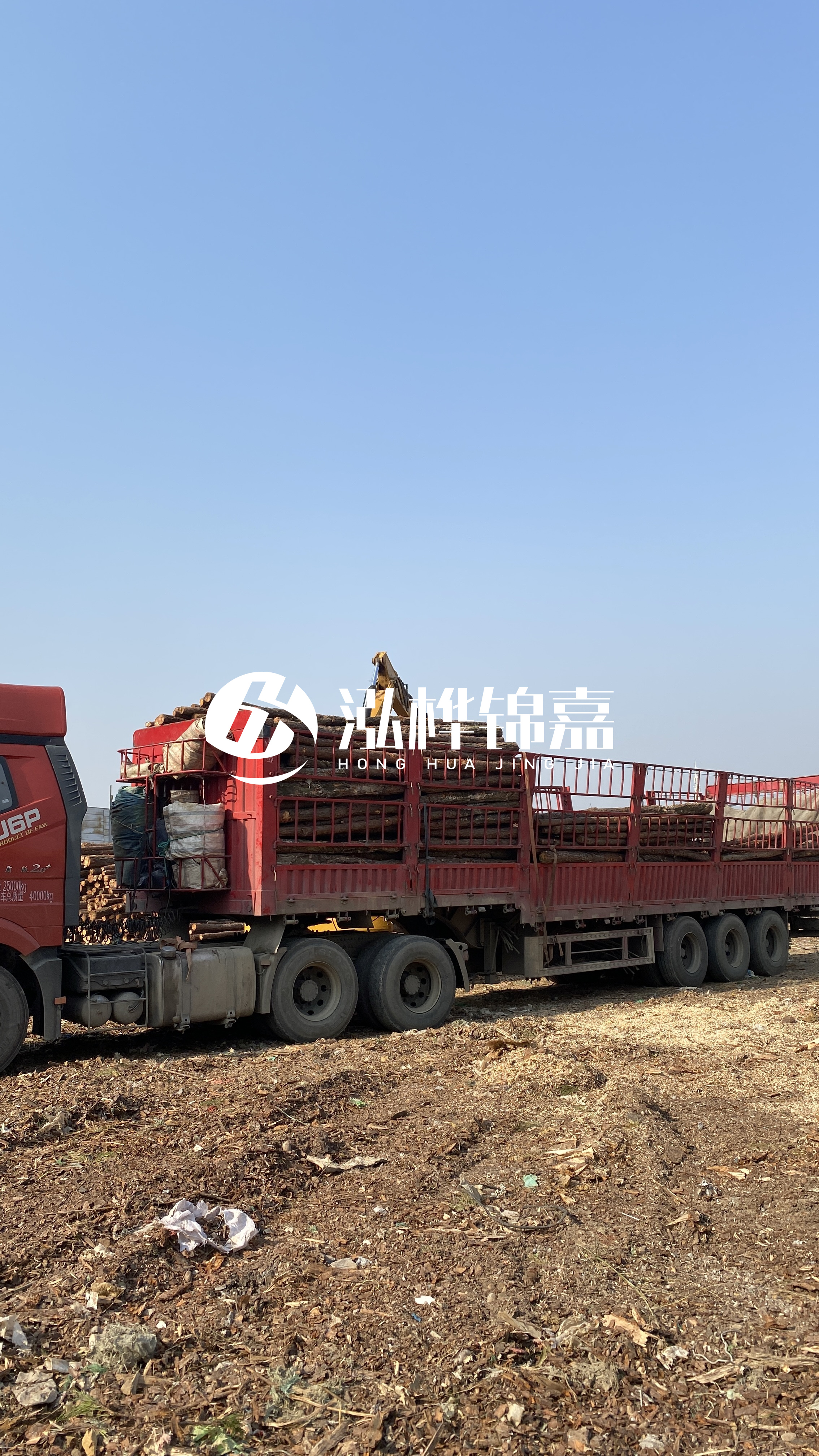 蘭州松木樁批發(fā)源頭廠家-落葉松與濕地松的主要區(qū)別？