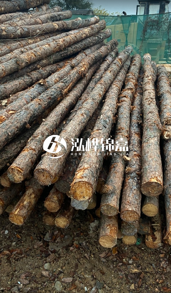 徐州松木樁批發(fā)源頭廠家-松木樁需要做防腐嗎？