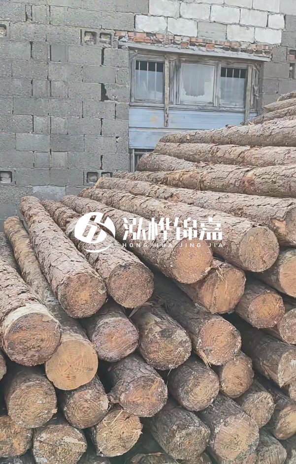 2025最新松木樁價格揭秘：松木樁一方到底多少錢？