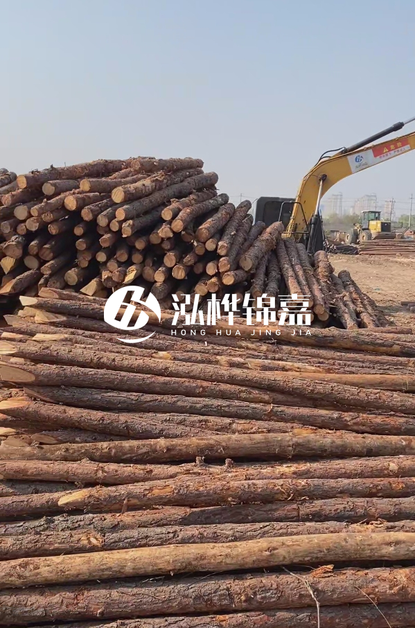 油松用于打樁木到底好不好？讓專業(yè)打樁隊告訴你！