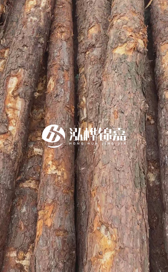 浙江地區(qū)大量供應松木樁，源頭廠家在哪里？