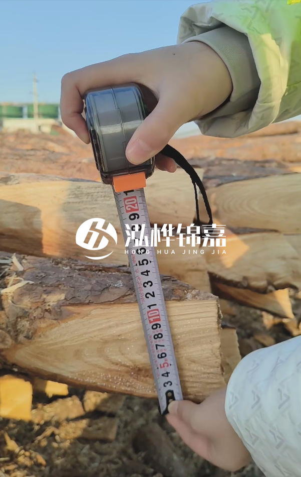 打木樁用松木樁好還是杉木樁好？全面對比解析！