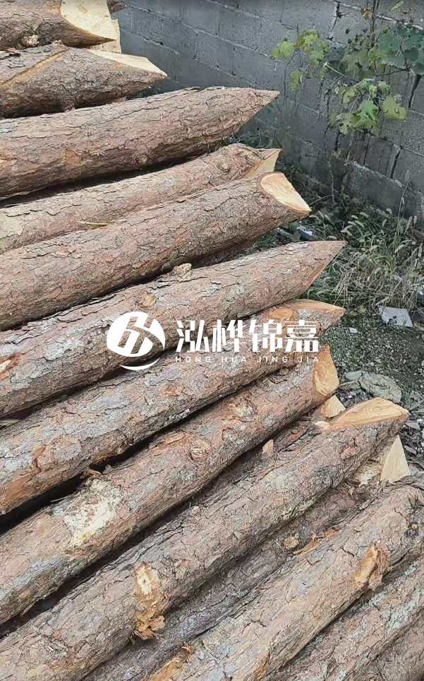 松木樁哪里能大量供應(yīng)？4米20公分松木樁價格是多少？