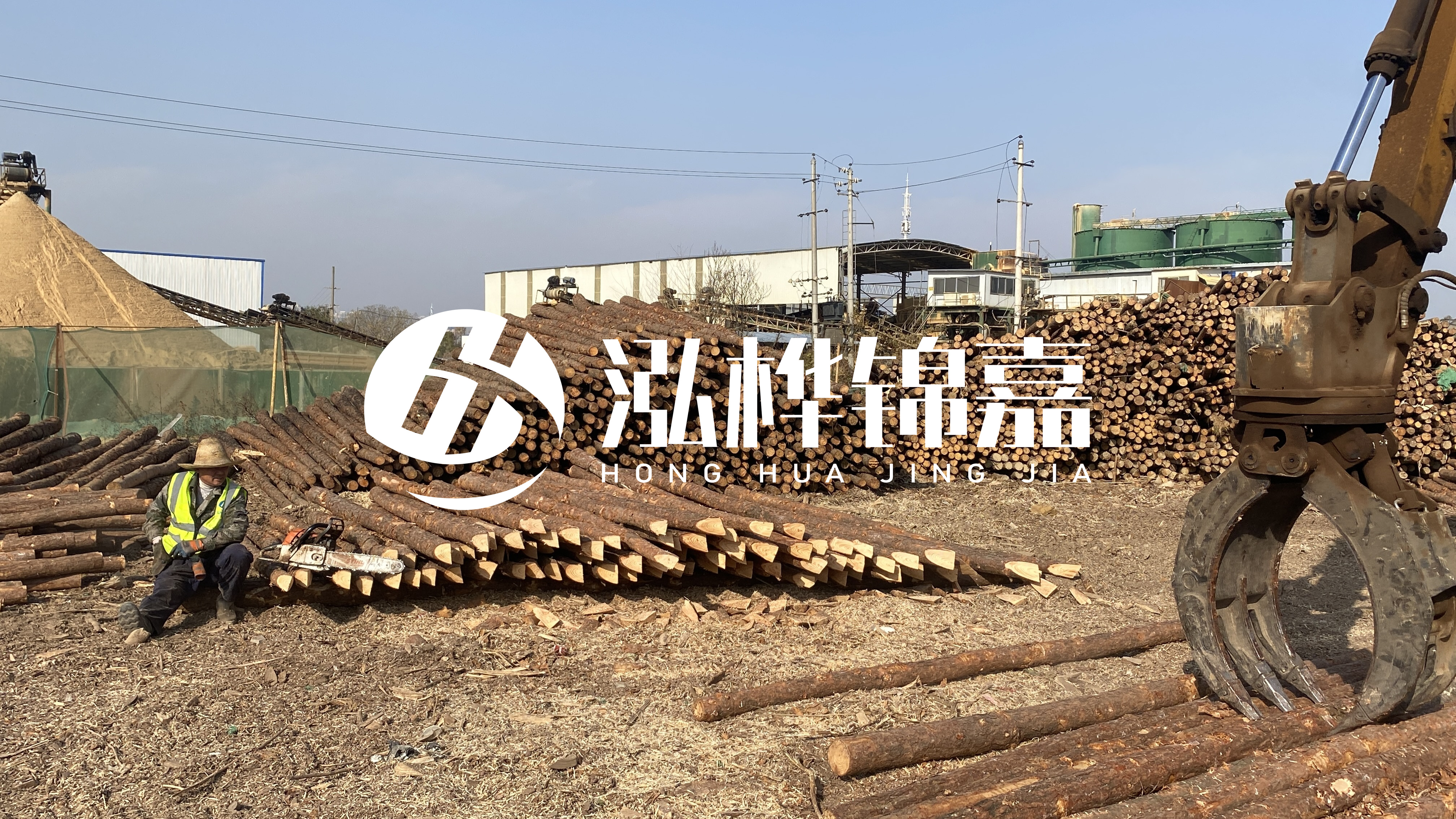 河道木材松木樁怎么選？松木樁源頭廠家告訴你！