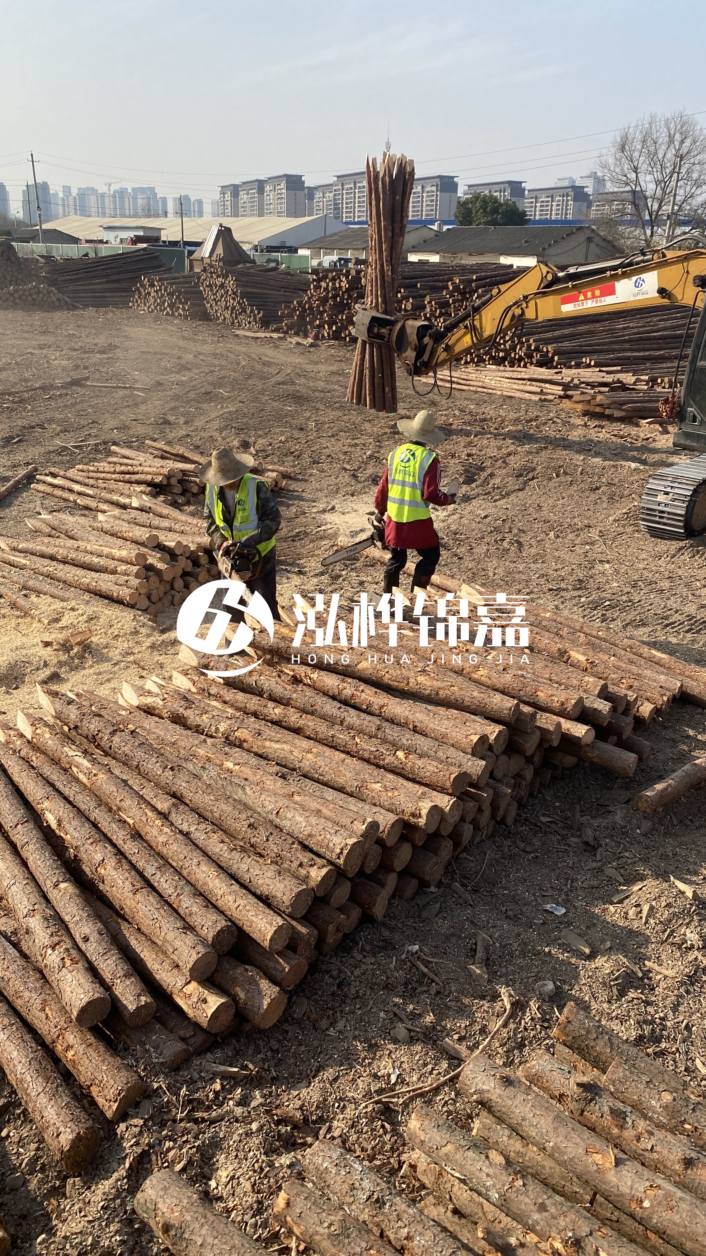 松木樁梢徑怎么測量？實用教程！一文教會你！