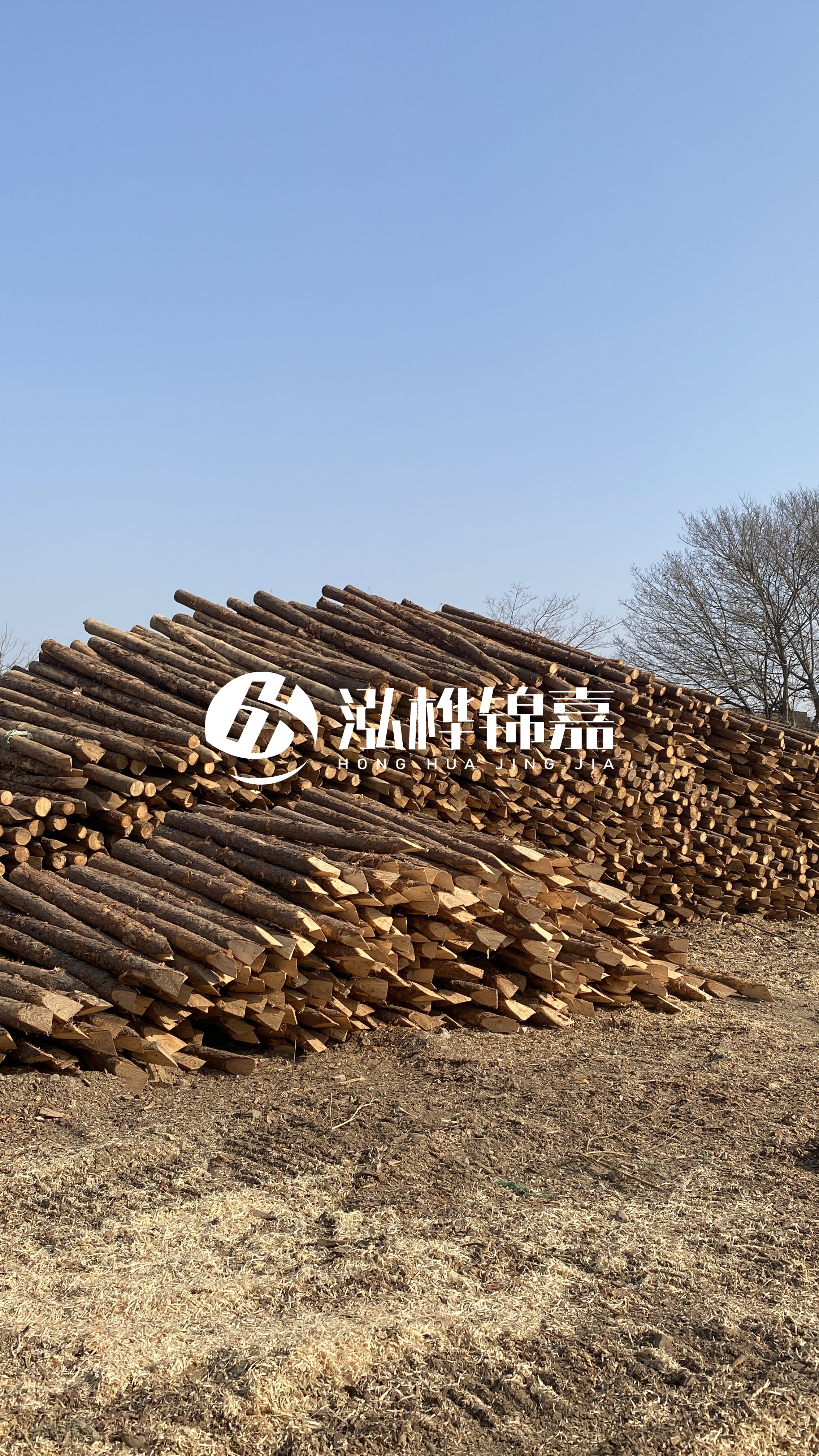 松木樁頭徑比尾徑大多少？計算方式是什么？