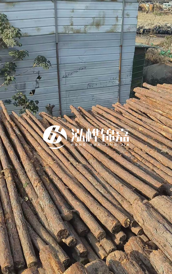 4米松木樁一根有多重？看完你就心中有數(shù)啦！