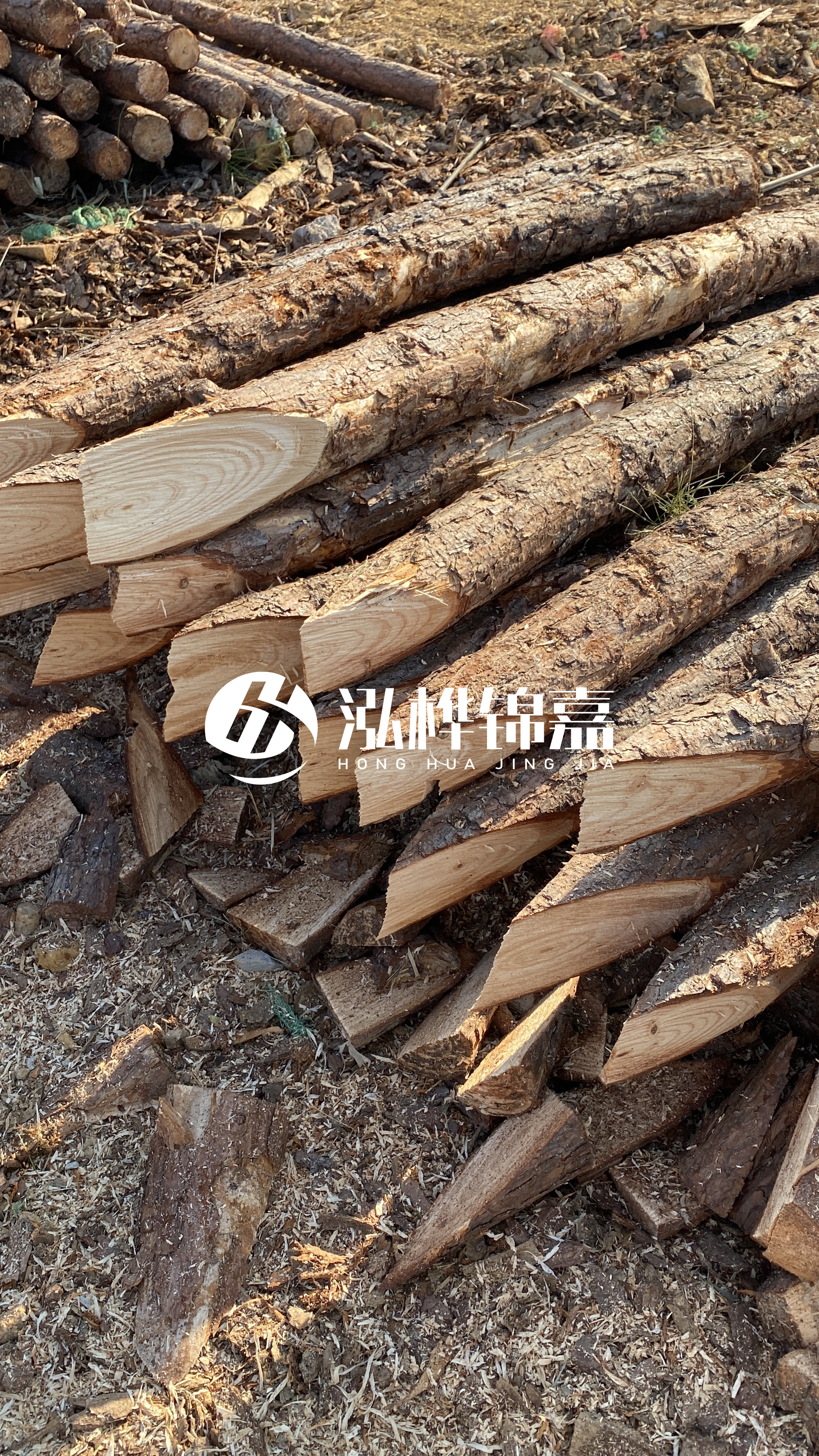 3米8公分松木樁價(jià)格是多少？市場(chǎng)最新報(bào)價(jià)大公開(kāi)！