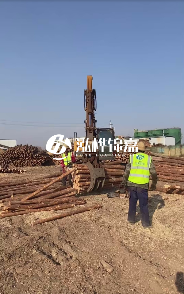 2025松木樁價(jià)格行情網(wǎng) | 實(shí)時(shí)報(bào)價(jià)/廠家直供/工程采購指南（附價(jià)格走勢圖）
