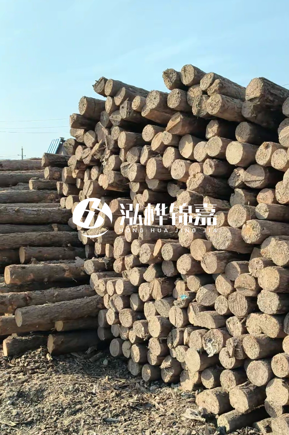 國內(nèi)哪里的松木樁便宜又好？五大高性價(jià)比產(chǎn)地推薦