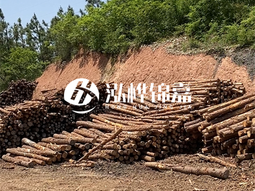 油松打樁木和落葉松打樁木的價(jià)格差異是多少？哪個(gè)性價(jià)比更高？