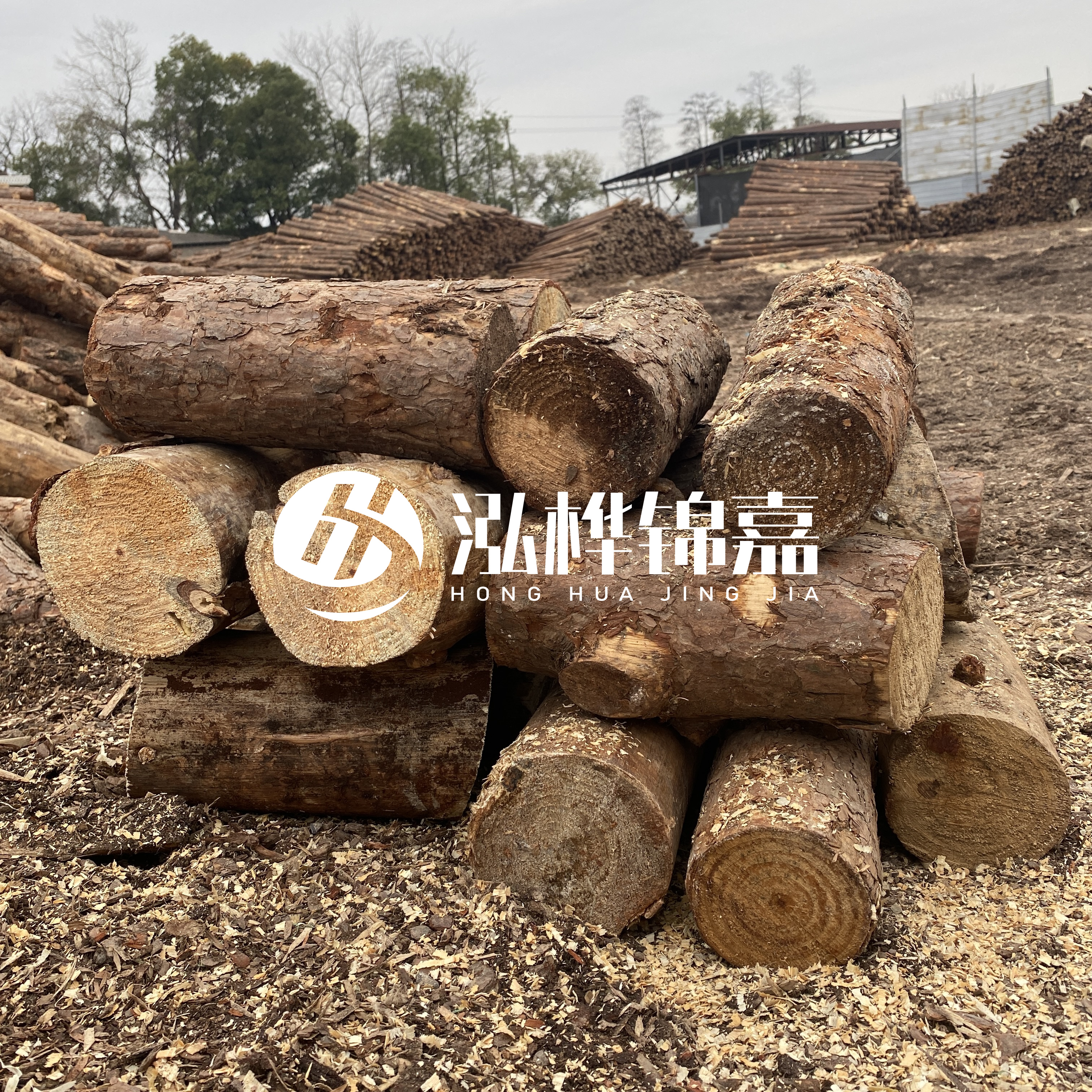 打樁木邊角料能做什么用途？怎么賣的？