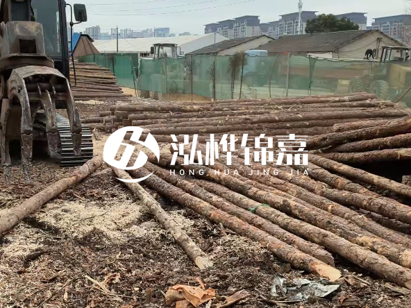 2 米長度松木樁多少錢？松木樁 10 一 15 公分價格？