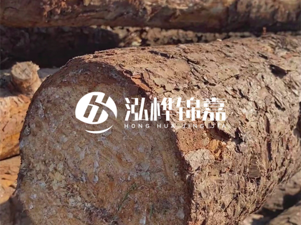 松木樁如何做到千年不腐的？松木樁打地基耐用年限揭秘