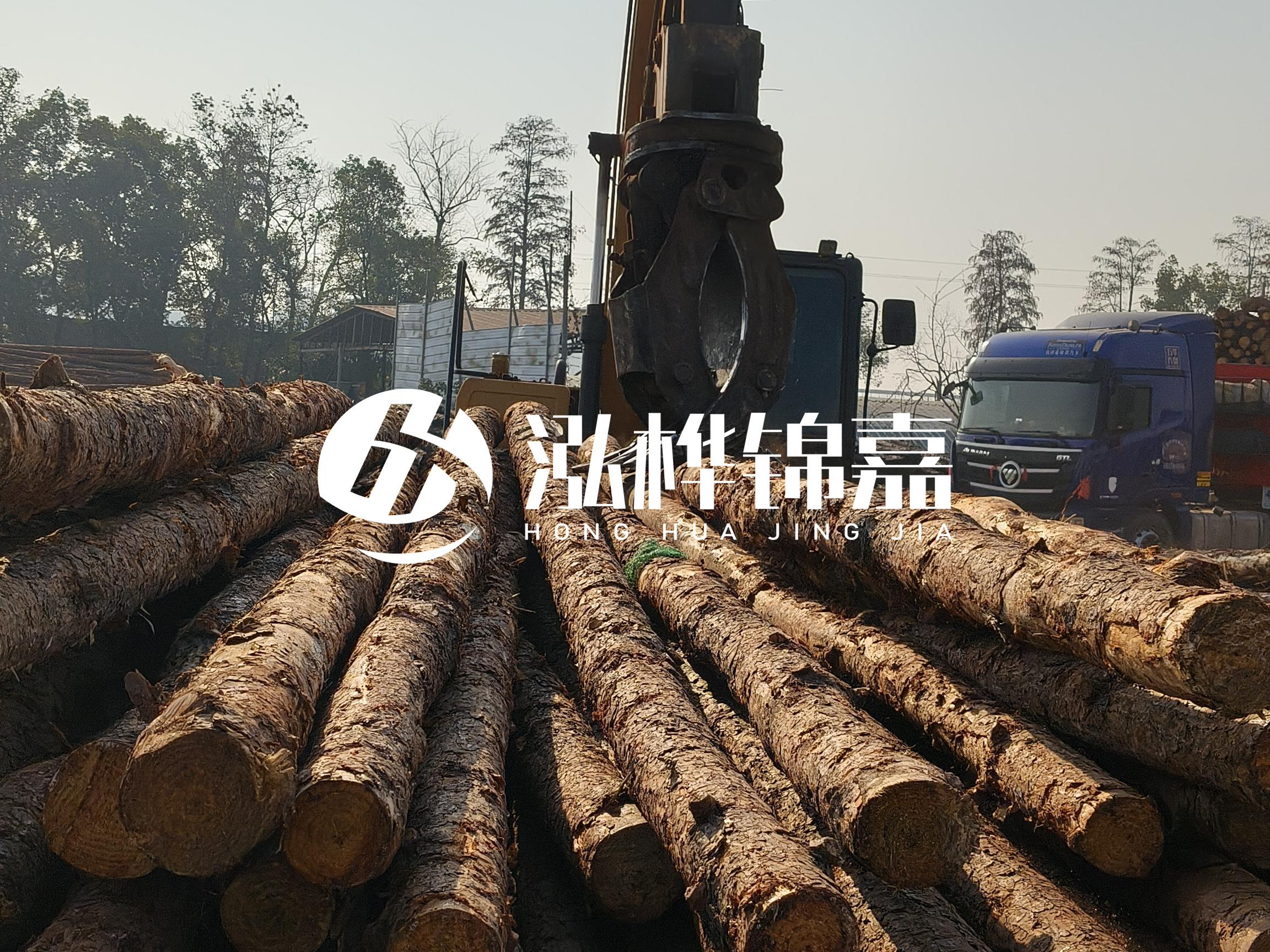 松木樁可以用來做什么？常用于哪些工程？