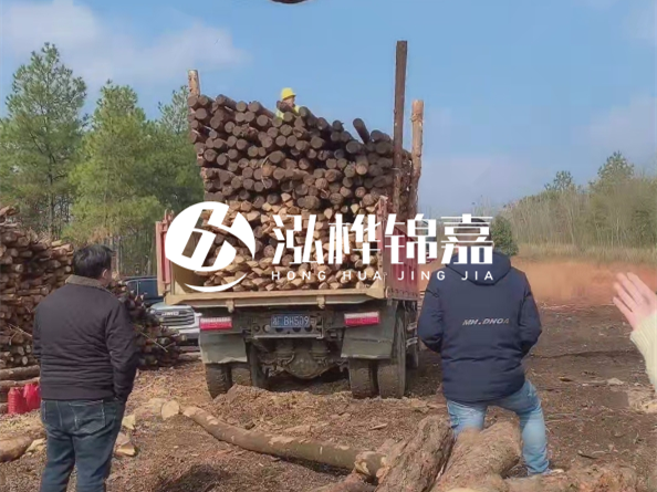 松木樁廠(chǎng)家泓樺錦嘉-存放超過(guò)半年的原木松木樁還能用嗎？