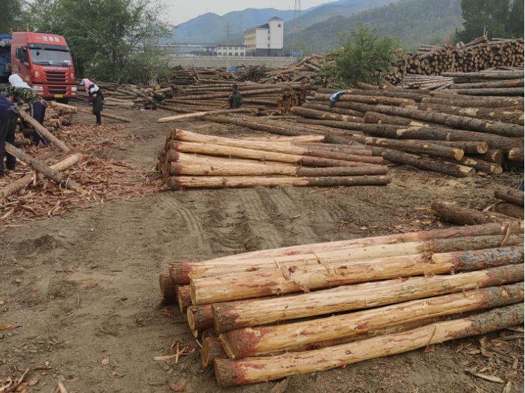 打造獨(dú)特魅力，混凝土著色劑為您加冕